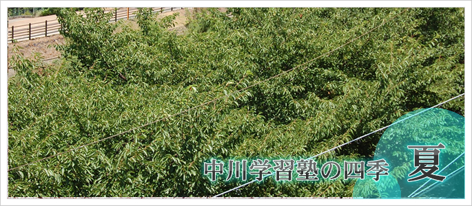 中川学習塾の四季